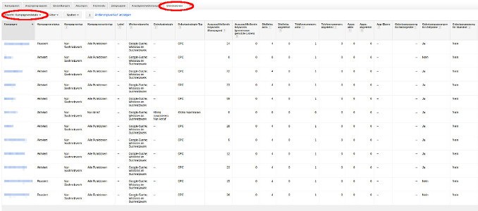 AdWords Kampagnendetails